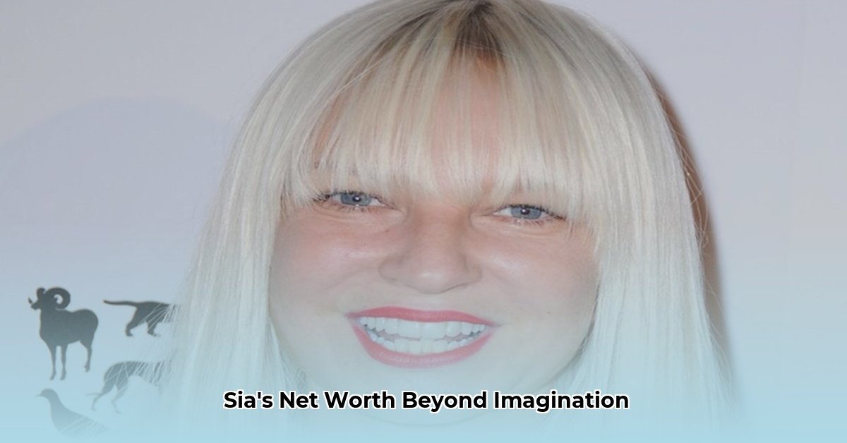 sia net worth 2024